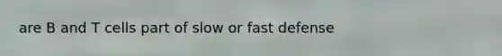 are B and T cells part of slow or fast defense