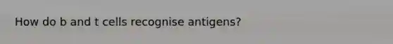 How do b and t cells recognise antigens?