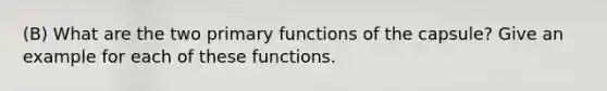 (B) What are the two primary functions of the capsule? Give an example for each of these functions.