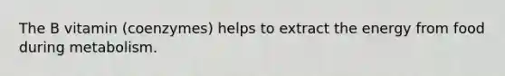 The B vitamin (coenzymes) helps to extract the energy from food during metabolism.