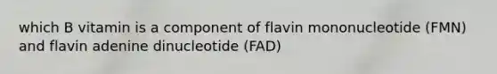 which B vitamin is a component of flavin mononucleotide (FMN) and flavin adenine dinucleotide (FAD)