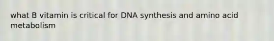 what B vitamin is critical for DNA synthesis and amino acid metabolism