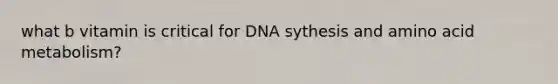 what b vitamin is critical for DNA sythesis and amino acid metabolism?