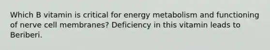 Which B vitamin is critical for energy metabolism and functioning of nerve cell membranes? Deficiency in this vitamin leads to Beriberi.