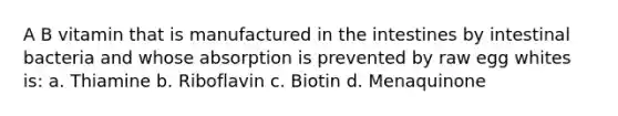 A B vitamin that is manufactured in the intestines by intestinal bacteria and whose absorption is prevented by raw egg whites is: a. Thiamine b. Riboflavin c. Biotin d. Menaquinone