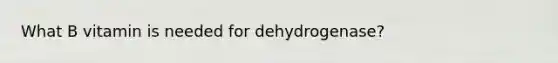 What B vitamin is needed for dehydrogenase?