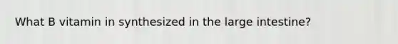 What B vitamin in synthesized in the large intestine?