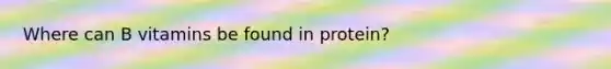 Where can B vitamins be found in protein?