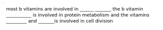 most b vitamins are involved in ______ _______ the b vitamin ___________ is involved in protein metabolism and the vitamins _________ and _______is involved in cell division