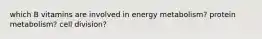 which B vitamins are involved in energy metabolism? protein metabolism? cell division?