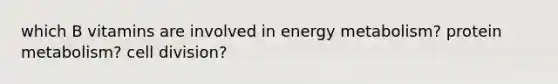 which B vitamins are involved in energy metabolism? protein metabolism? cell division?