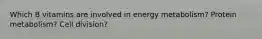 Which B vitamins are involved in energy metabolism? Protein metabolism? Cell division?