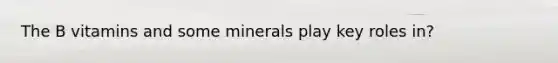 The B vitamins and some minerals play key roles in?