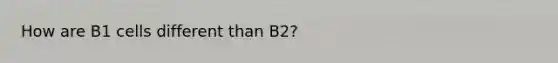 How are B1 cells different than B2?