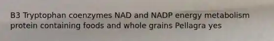 B3 Tryptophan coenzymes NAD and NADP energy metabolism protein containing foods and whole grains Pellagra yes