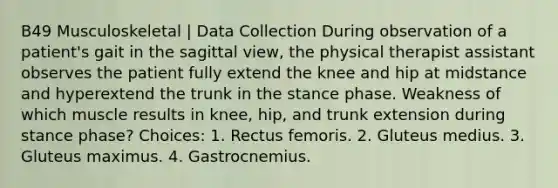 B49 Musculoskeletal | Data Collection During observation of a patient's gait in the sagittal view, the physical therapist assistant observes the patient fully extend the knee and hip at midstance and hyperextend the trunk in the stance phase. Weakness of which muscle results in knee, hip, and trunk extension during stance phase? Choices: 1. Rectus femoris. 2. Gluteus medius. 3. Gluteus maximus. 4. Gastrocnemius.