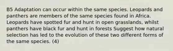 B5 Adaptation can occur within the same species. Leopards and panthers are members of the same species found in Africa. Leopards have spotted fur and hunt in open grasslands, whilst panthers have black fur and hunt in forests Suggest how natural selection has led to the evolution of these two different forms of the same species. (4)