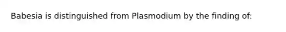 Babesia is distinguished from Plasmodium by the finding of: