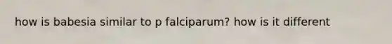 how is babesia similar to p falciparum? how is it different