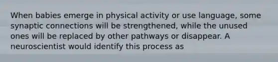 When babies emerge in physical activity or use language, some synaptic connections will be strengthened, while the unused ones will be replaced by other pathways or disappear. A neuroscientist would identify this process as