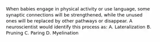 When babies engage in physical activity or use language, some synaptic connections will be strengthened, while the unused ones will be replaced by other pathways or disappear. A neuroscientist would identify this process as: A. Lateralization B. Pruning C. Paring D. Myelination