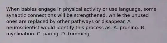 When babies engage in physical activity or use language, some synaptic connections will be strengthened, while the unused ones are replaced by other pathways or disappear. A neuroscientist would identify this process as: A. pruning. B. myelination. C. paring. D. trimming.