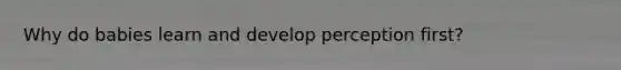 Why do babies learn and develop perception first?