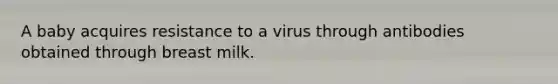 A baby acquires resistance to a virus through antibodies obtained through breast milk.