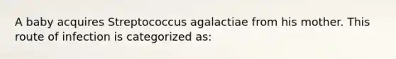 A baby acquires Streptococcus agalactiae from his mother. This route of infection is categorized as: