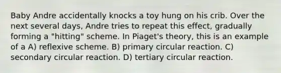 Baby Andre accidentally knocks a toy hung on his crib. Over the next several days, Andre tries to repeat this effect, gradually forming a "hitting" scheme. In Piaget's theory, this is an example of a A) reflexive scheme. B) primary circular reaction. C) secondary circular reaction. D) tertiary circular reaction.