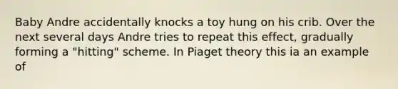 Baby Andre accidentally knocks a toy hung on his crib. Over the next several days Andre tries to repeat this effect, gradually forming a "hitting" scheme. In Piaget theory this ia an example of