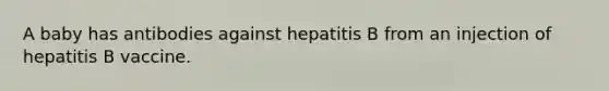 A baby has antibodies against hepatitis B from an injection of hepatitis B vaccine.