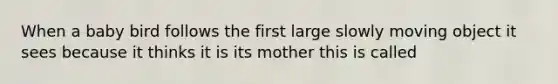 When a baby bird follows the first large slowly moving object it sees because it thinks it is its mother this is called