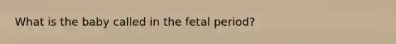 What is the baby called in the fetal period?