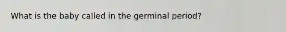 What is the baby called in the germinal period?