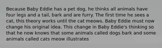 Because Baby Eddie has a pet dog, he thinks all animals have four legs and a tail, bark and are furry. The first time he sees a cat, this theory works until the cat meows. Baby Eddie must now change his original idea. This change in Baby Eddie's thinking so that he now knows that some animals called dogs bark and some animals called cats meow illustrates