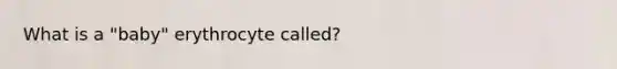 What is a "baby" erythrocyte called?