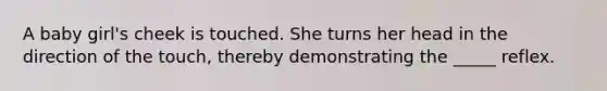 A baby girl's cheek is touched. She turns her head in the direction of the touch, thereby demonstrating the _____ reflex.