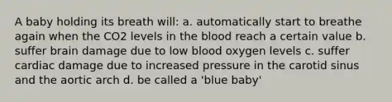 A baby holding its breath will: a. automatically start to breathe again when the CO2 levels in the blood reach a certain value b. suffer brain damage due to low blood oxygen levels c. suffer cardiac damage due to increased pressure in the carotid sinus and the aortic arch d. be called a 'blue baby'