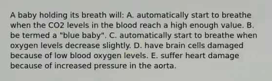 A baby holding its breath will: A. automatically start to breathe when the CO2 levels in the blood reach a high enough value. B. be termed a "blue baby". C. automatically start to breathe when oxygen levels decrease slightly. D. have brain cells damaged because of low blood oxygen levels. E. suffer heart damage because of increased pressure in the aorta.