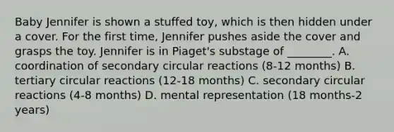 Baby Jennifer is shown a stuffed toy, which is then hidden under a cover. For the first time, Jennifer pushes aside the cover and grasps the toy. Jennifer is in Piaget's substage of ________. A. coordination of secondary circular reactions (8-12 months) B. tertiary circular reactions (12-18 months) C. secondary circular reactions (4-8 months) D. mental representation (18 months-2 years)