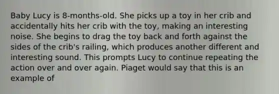 Baby Lucy is 8-months-old. She picks up a toy in her crib and accidentally hits her crib with the toy, making an interesting noise. She begins to drag the toy back and forth against the sides of the crib's railing, which produces another different and interesting sound. This prompts Lucy to continue repeating the action over and over again. Piaget would say that this is an example of