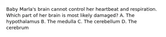 Baby Marla's brain cannot control her heartbeat and respiration. Which part of her brain is most likely damaged? A. The hypothalamus B. The medulla C. The cerebellum D. The cerebrum