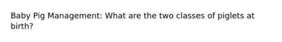 Baby Pig Management: What are the two classes of piglets at birth?