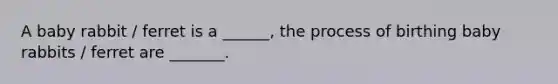 A baby rabbit / ferret is a ______, the process of birthing baby rabbits / ferret are _______.