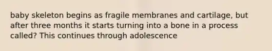 baby skeleton begins as fragile membranes and cartilage, but after three months it starts turning into a bone in a process called? This continues through adolescence