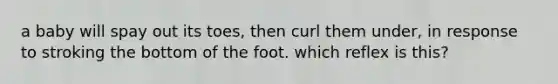 a baby will spay out its toes, then curl them under, in response to stroking the bottom of the foot. which reflex is this?