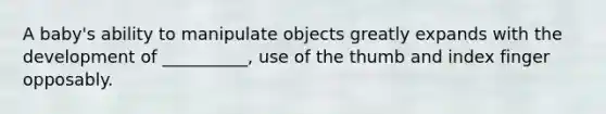 A baby's ability to manipulate objects greatly expands with the development of __________, use of the thumb and index finger opposably.