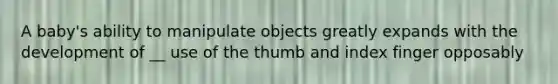 A baby's ability to manipulate objects greatly expands with the development of __ use of the thumb and index finger opposably