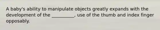 A baby's ability to manipulate objects greatly expands with the development of the __________, use of the thumb and index finger opposably.